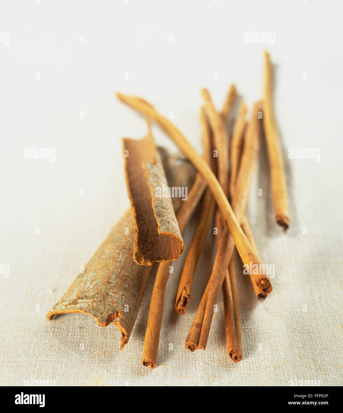 Cassia main image 0