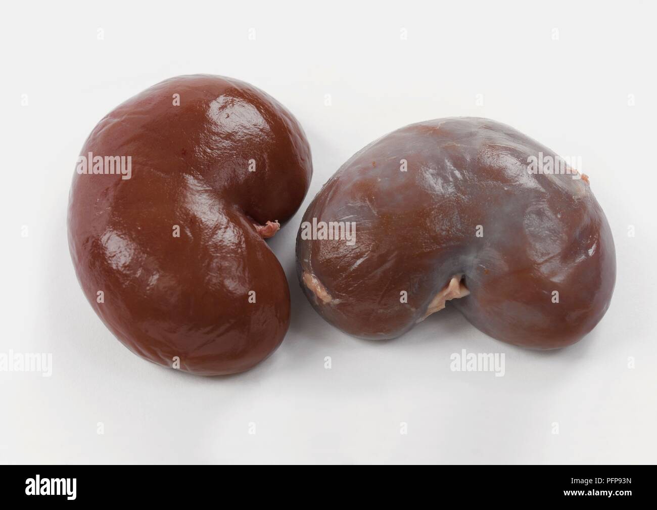 Two raw lamb's kidneys Stock Photo Alamy