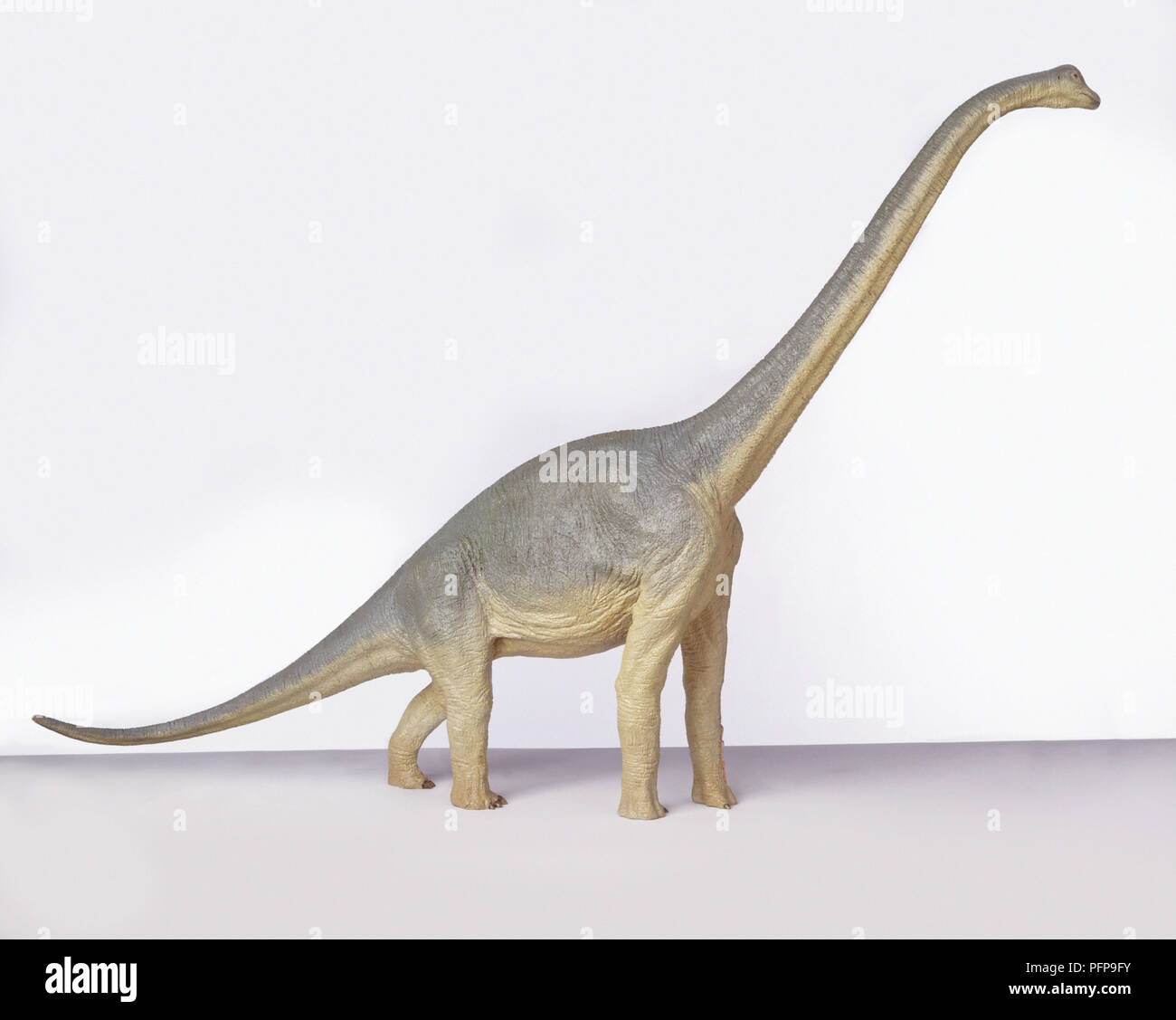 Model of Brachiosaurus, side view Stock Photo