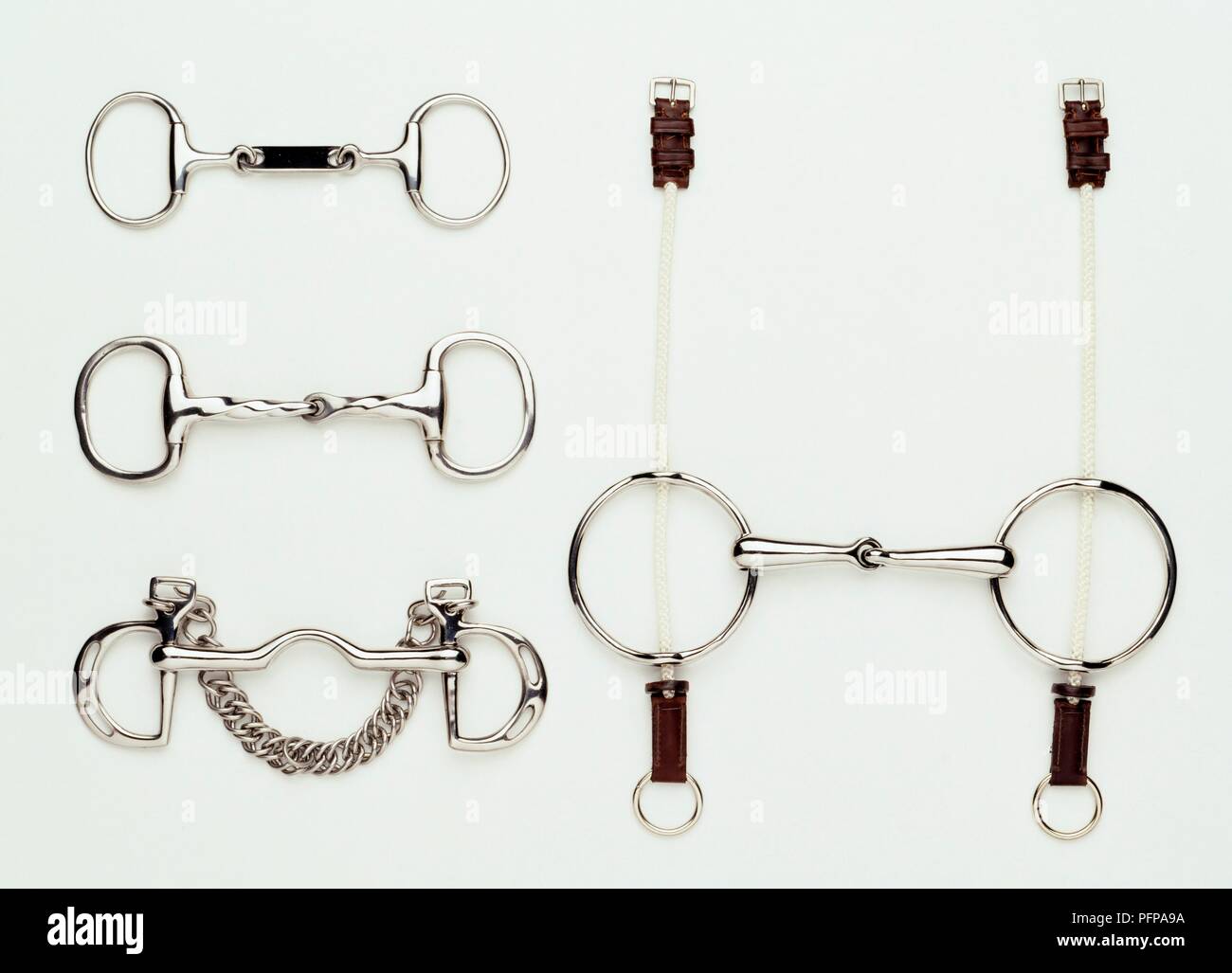 Diffe Types Of Horse Bits And Their Uses Home Design Ideas