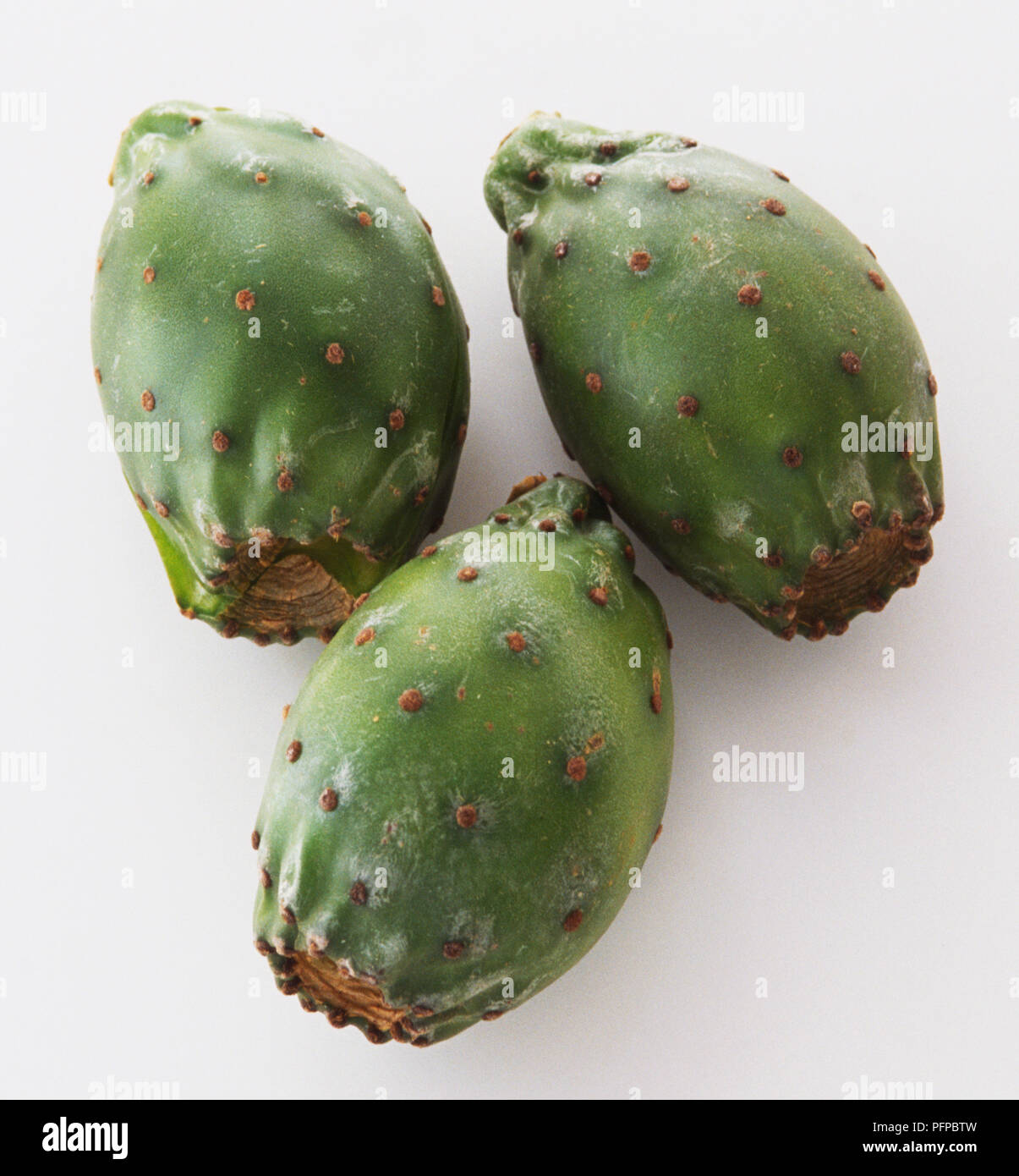 Three cactus figs Stock Photo - Alamy