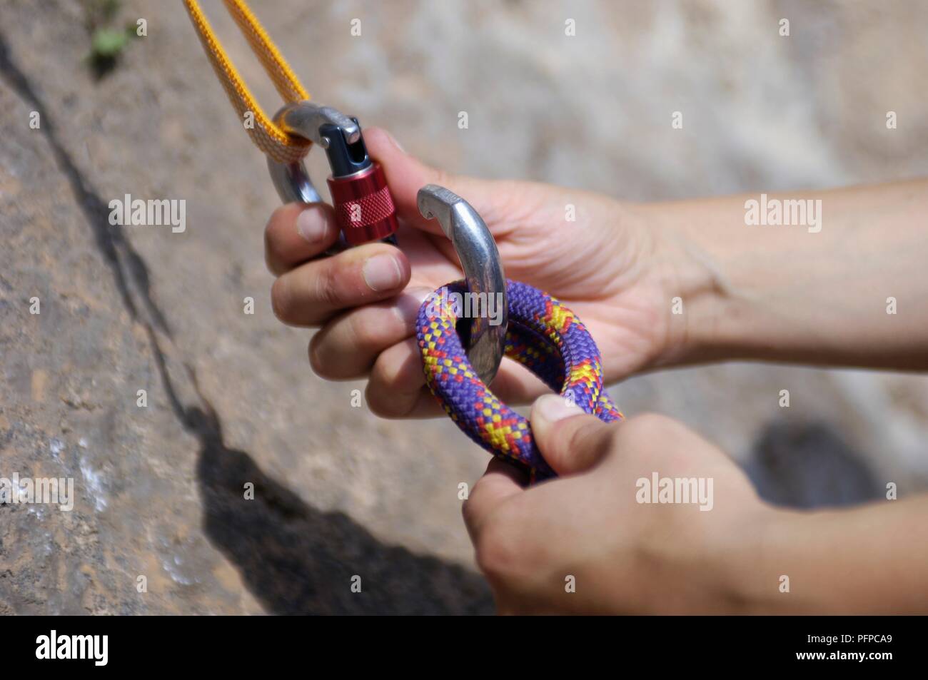 Clipping two loops of climbing rope into locking karabiner, karabiner