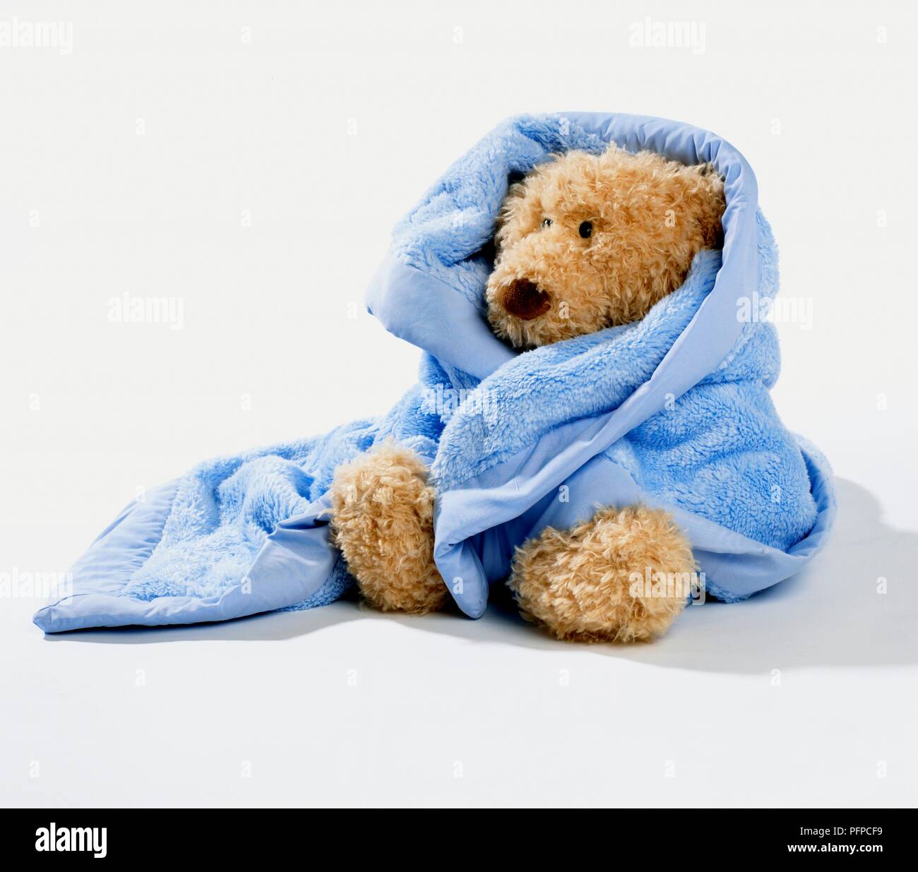 Soft toy dog wrapped in a blue blanket Stock Photo