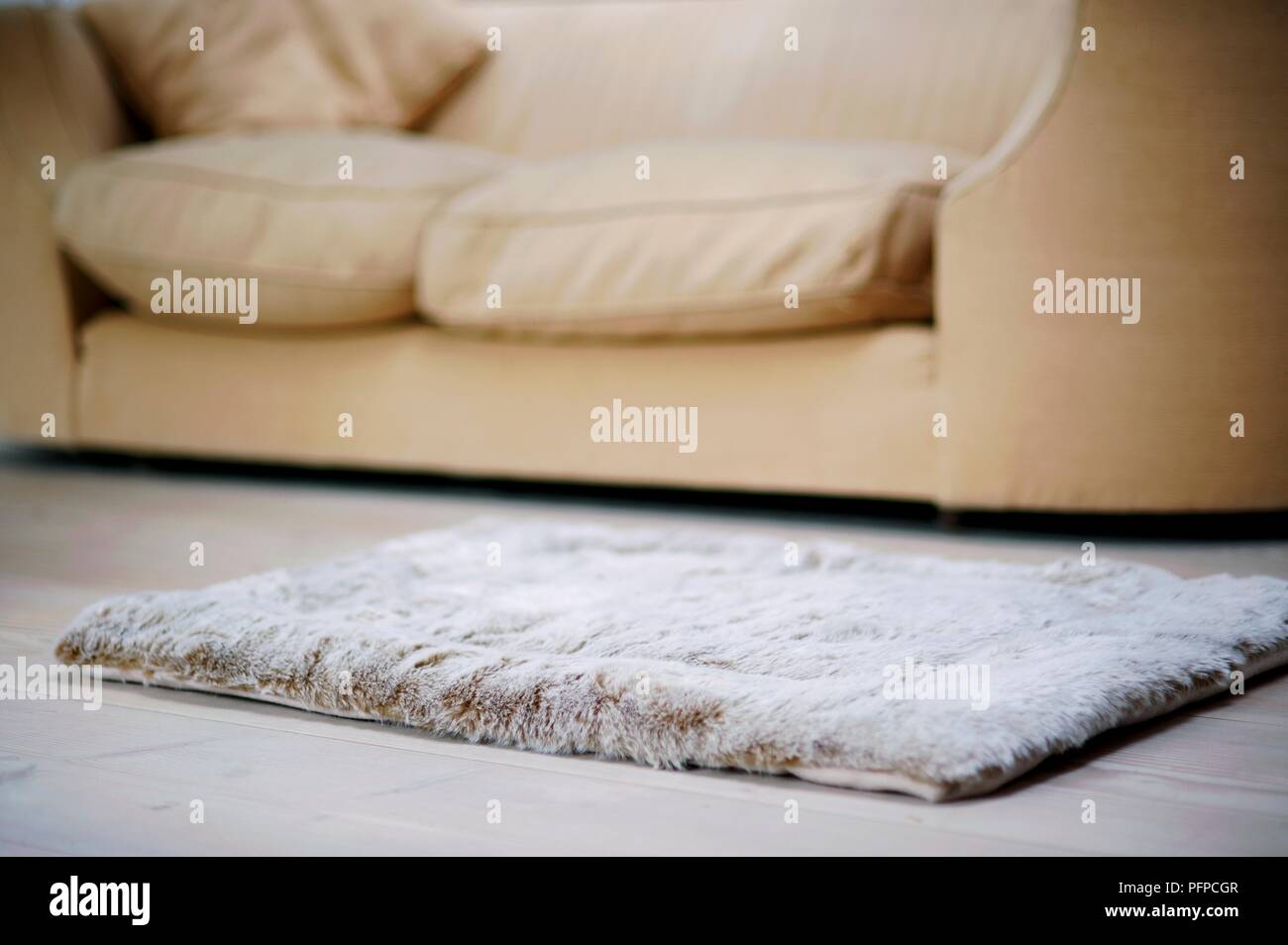 Dog mat on living room floor Stock Photo Alamy