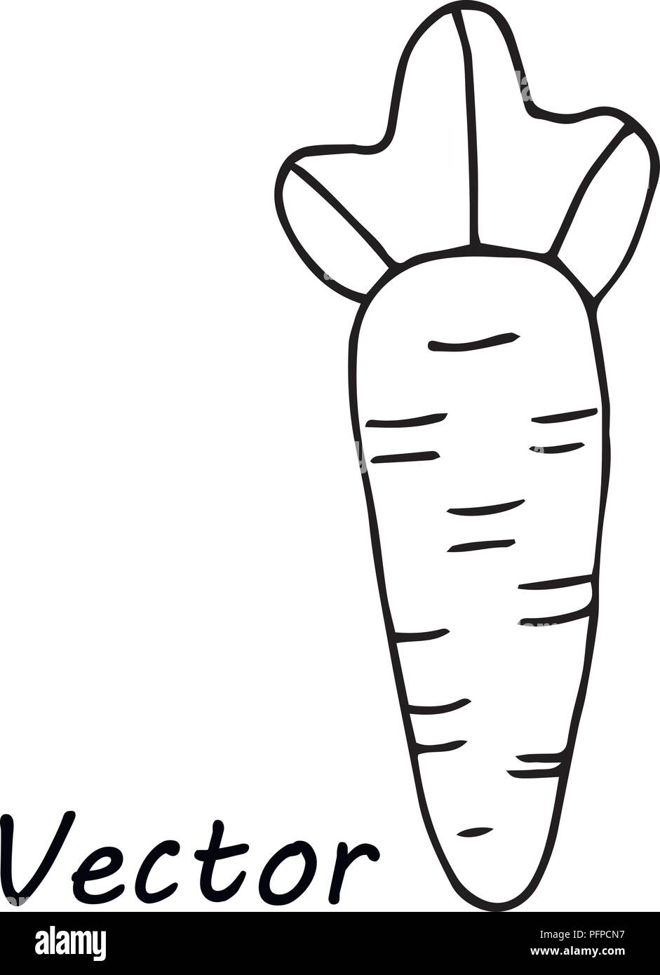 simple cute vector drawing carrot for coloring, for children ...