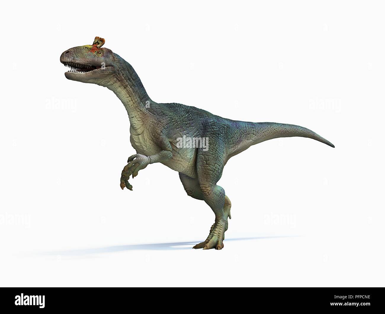 Cryolophosaurus, side view Stock Photo