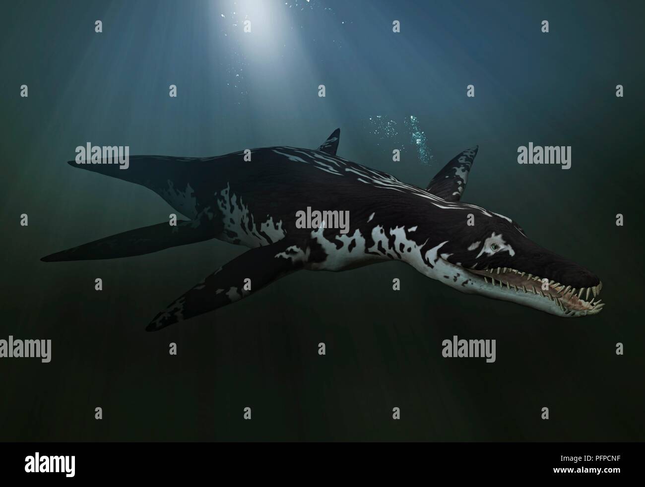 Liopleurodon hires stock photography and images Alamy