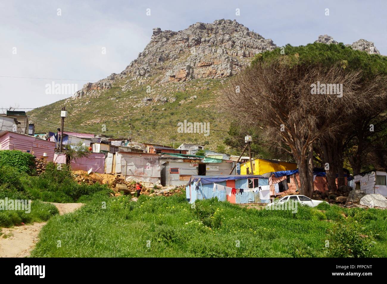 South Africa, Cape Town, Hout Bay Valley, shacks at the Imizamo Yethu ...