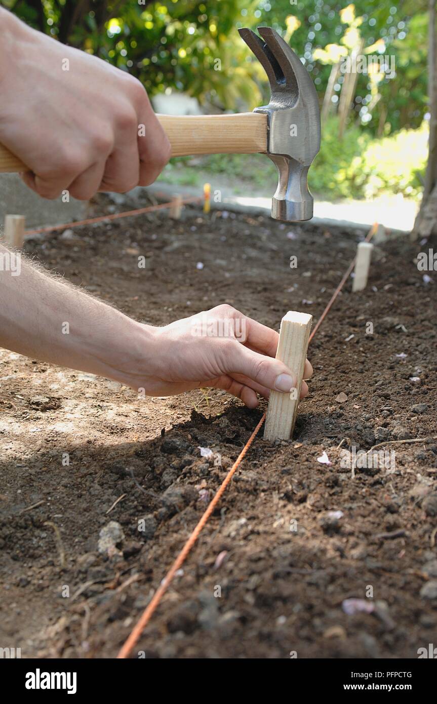 Man hammering wooden pegs into soil, marking path outline Stock Photo