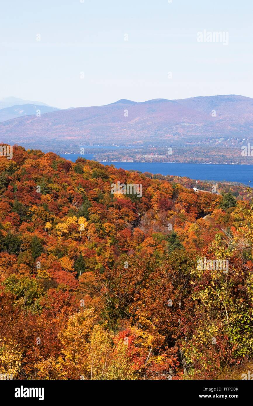 USA, New Hampshire, view over treetops of Lake Winnipesaukee Gunstock