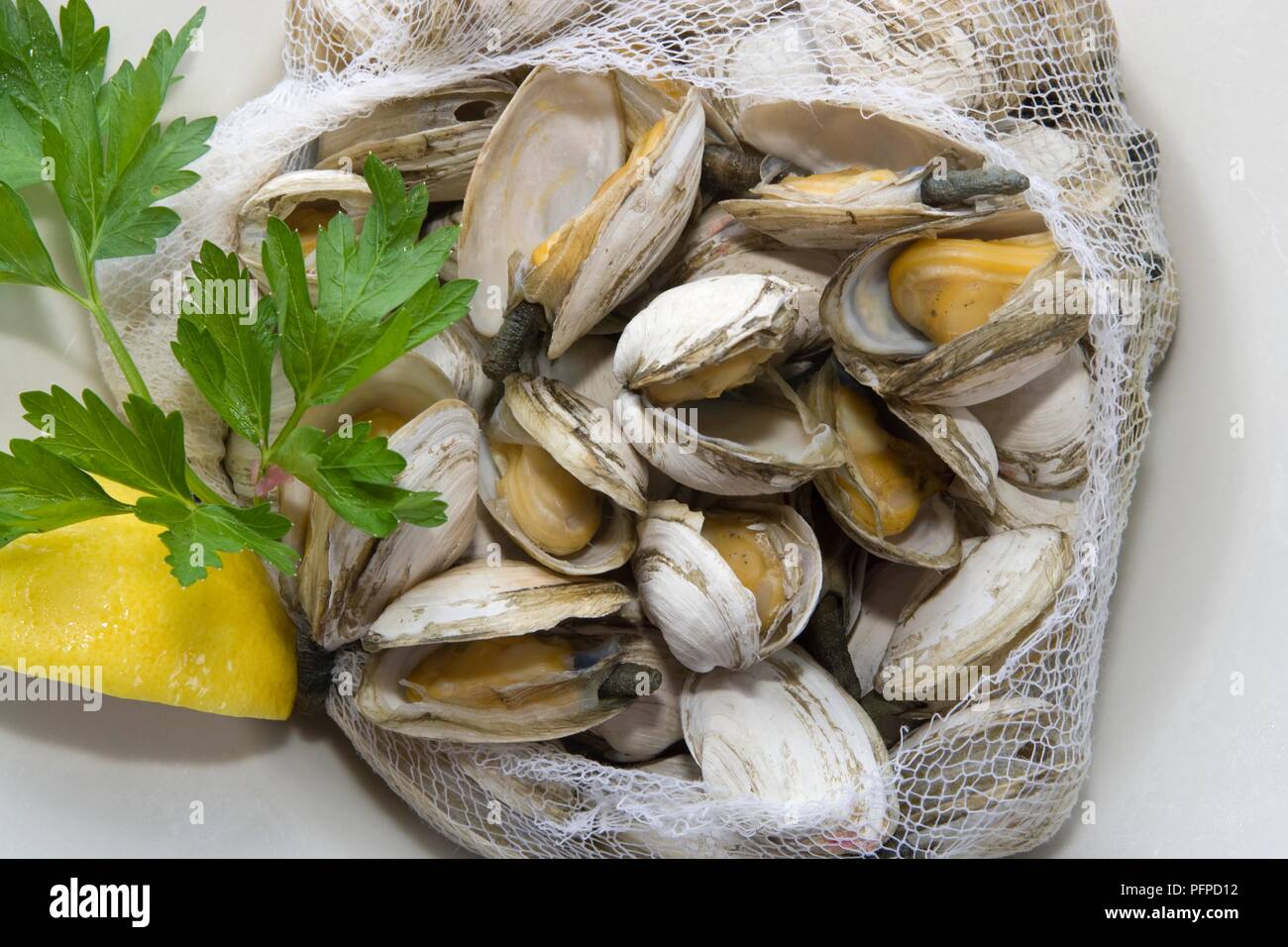 Steamed clams in mesh bag with slice of lemon Stock Photo Alamy