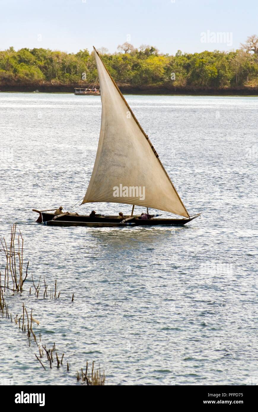 Kenya, Shimoni, dhow boat on river Stock Photo