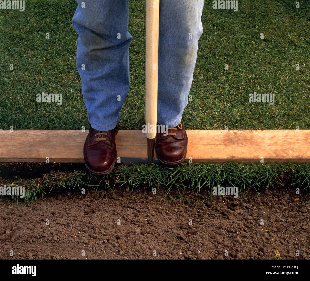 Cutting edge of a lawn, using a sharp halfmoon edger and cutting along