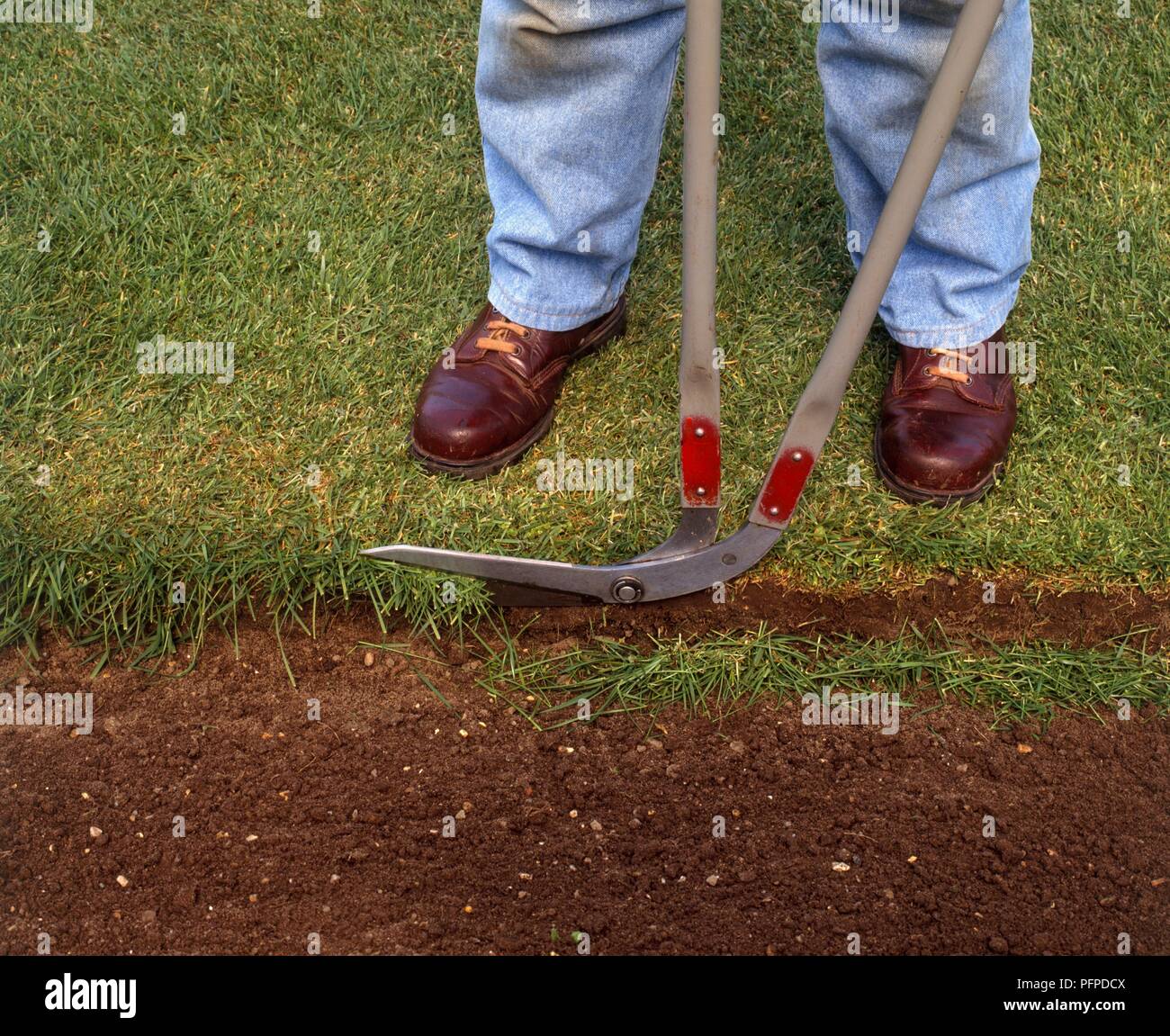 Using long-handled edging shears to trim grass overhanging lawn edge Stock Photo