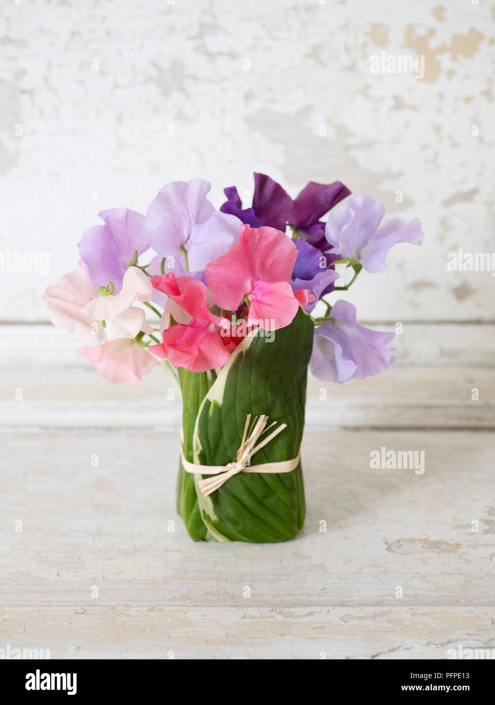 Sweet peas in a glass tumbler decorated with hosta leaves and raffia Stock Photo