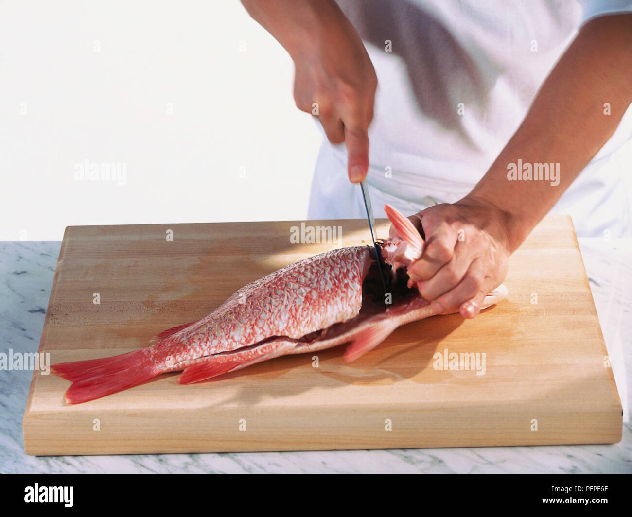 Chef using sharp knife to cut through body of Red Snapper