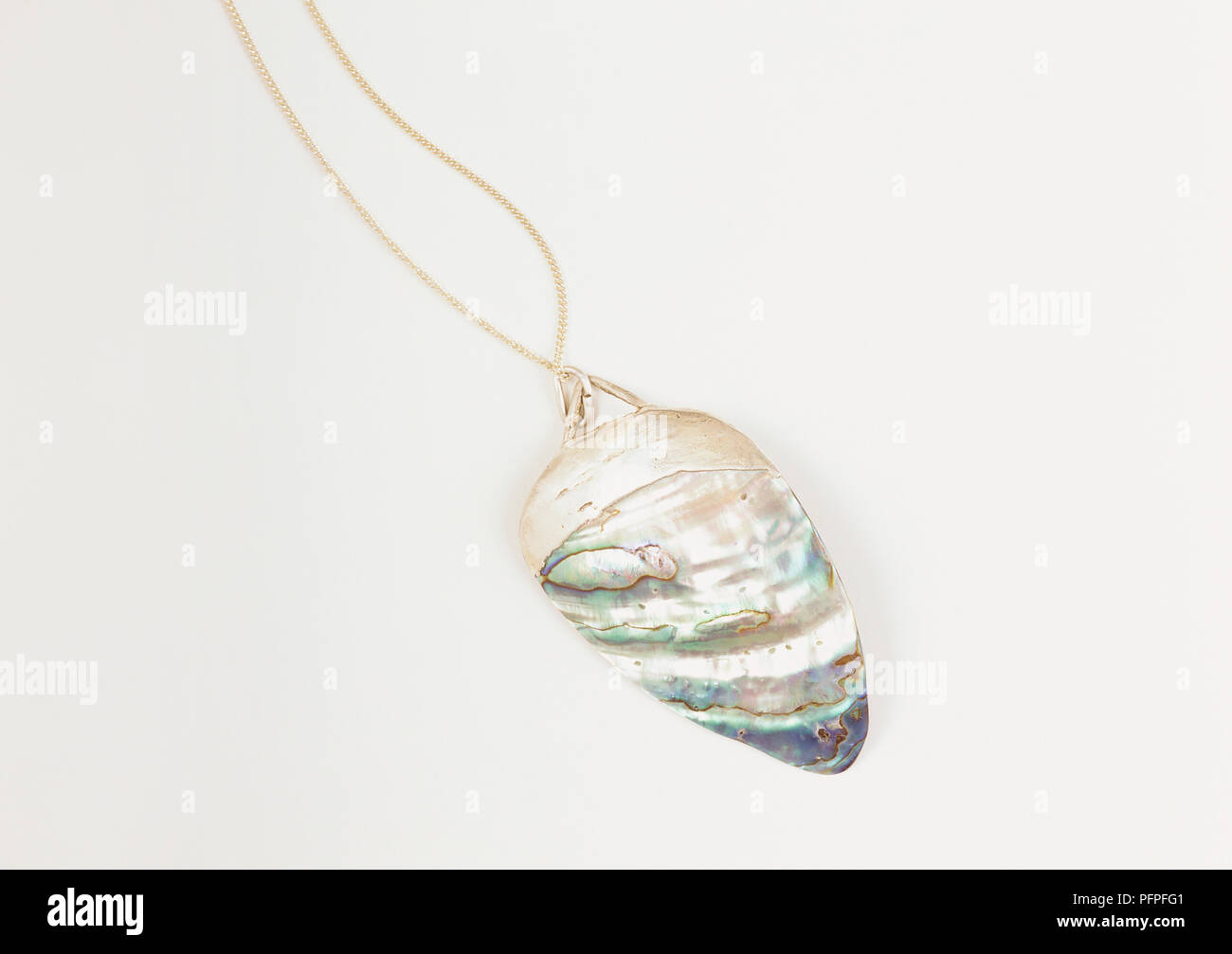 Abalone sea shell pendant Stock Photo