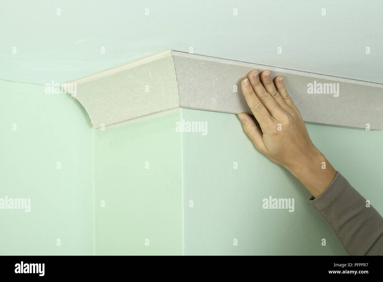 Woman Positioning Coving On Green Wall Below Ceiling Stock Photo