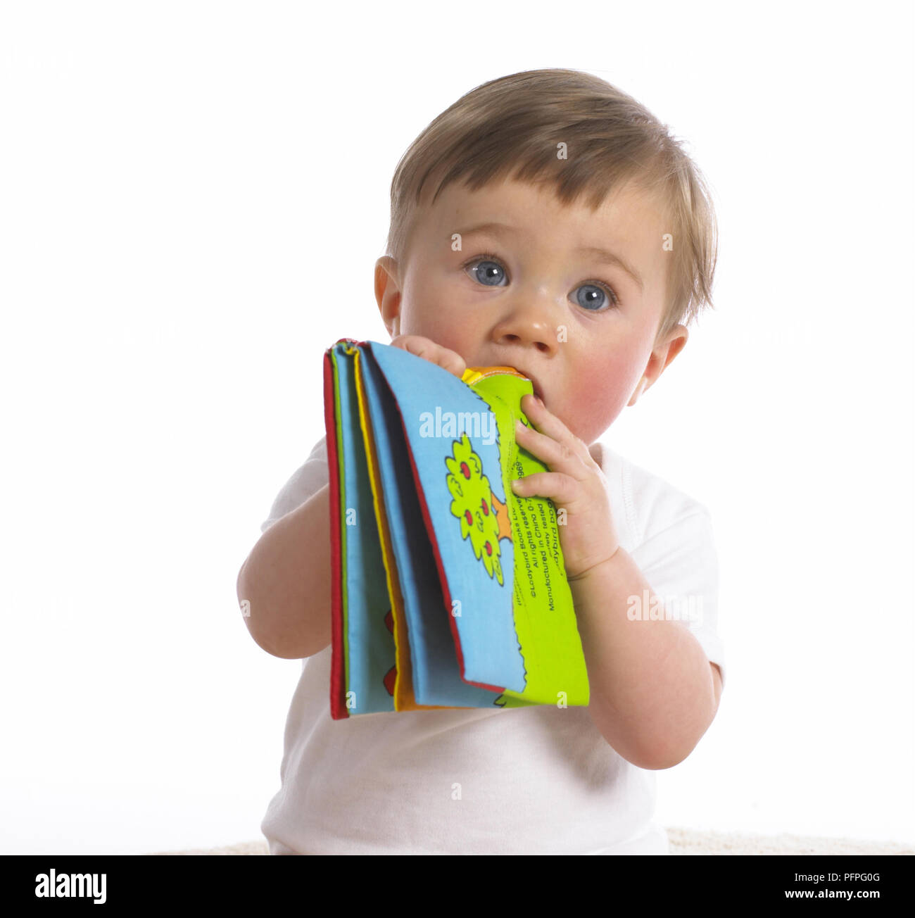 Baby boy chewing corner of cloth book Stock Photo Alamy