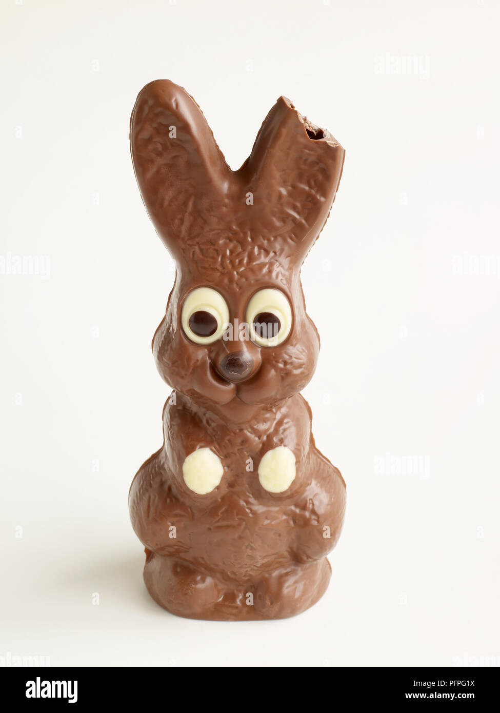 Chocolate bunny, part of ear missing Stock Photo Alamy