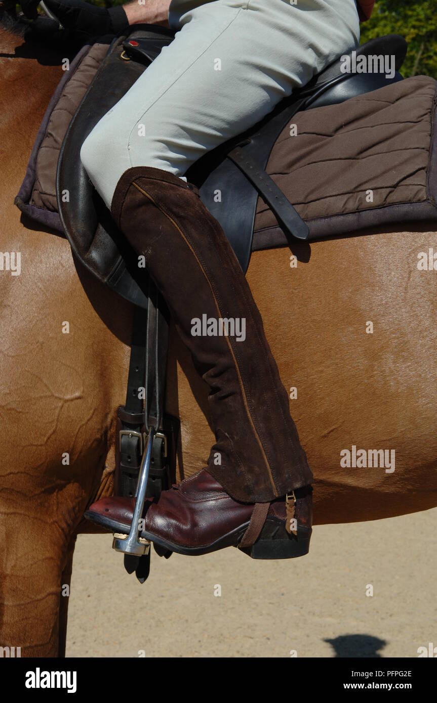 Horse riding boot hires stock photography and images Alamy