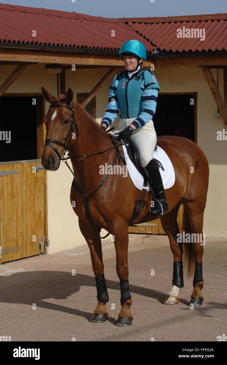 Young woman wearing equestrian cross-country riding habit sitting on chestnut horse in front of stable Stock Photo