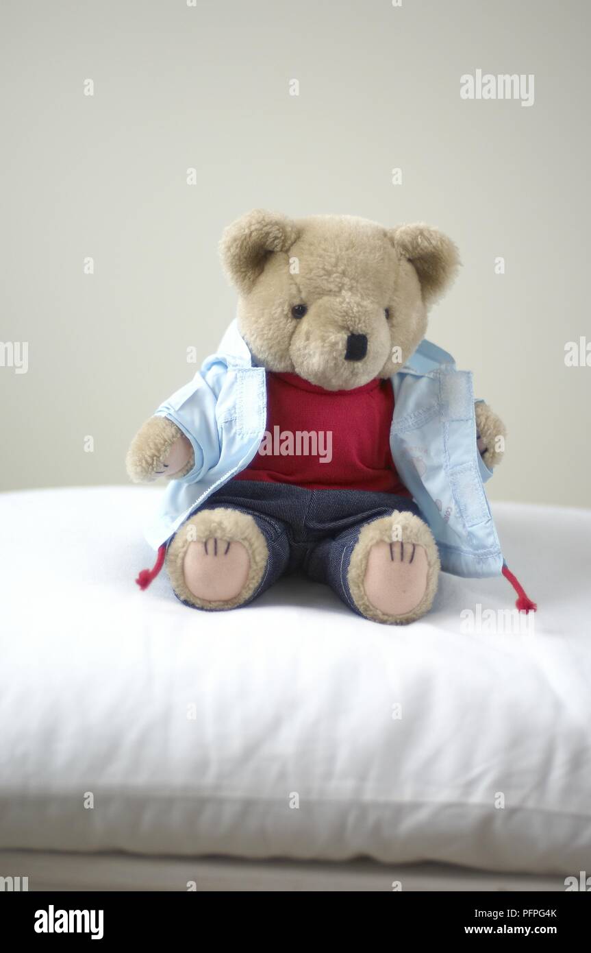 teddy bear jacket white