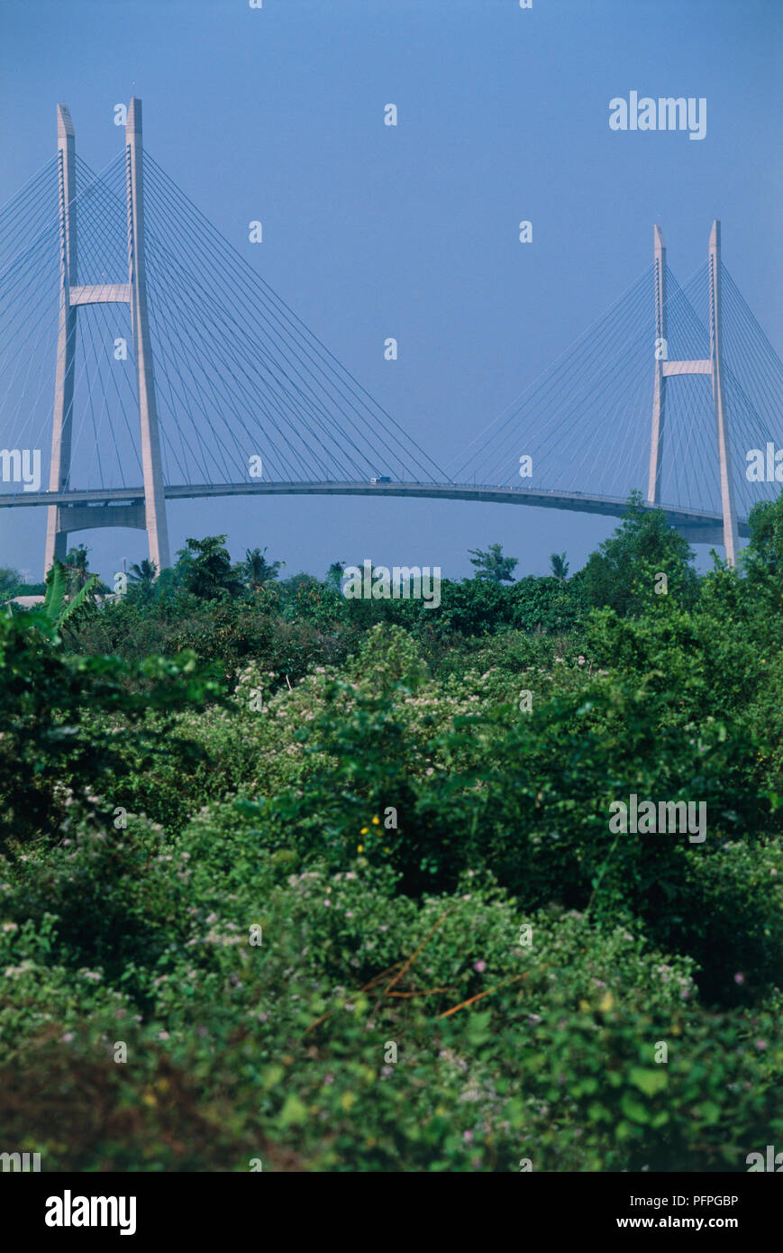 Vietnam, Mekong Delta, My Thuan bridge, modern cable stayed bridge pylons towering above trees Stock Photo
