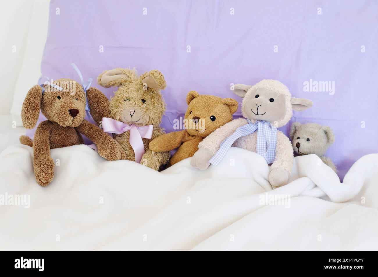 Five soft toys sitting in bed against purple pillow and white blanket Stock Photo