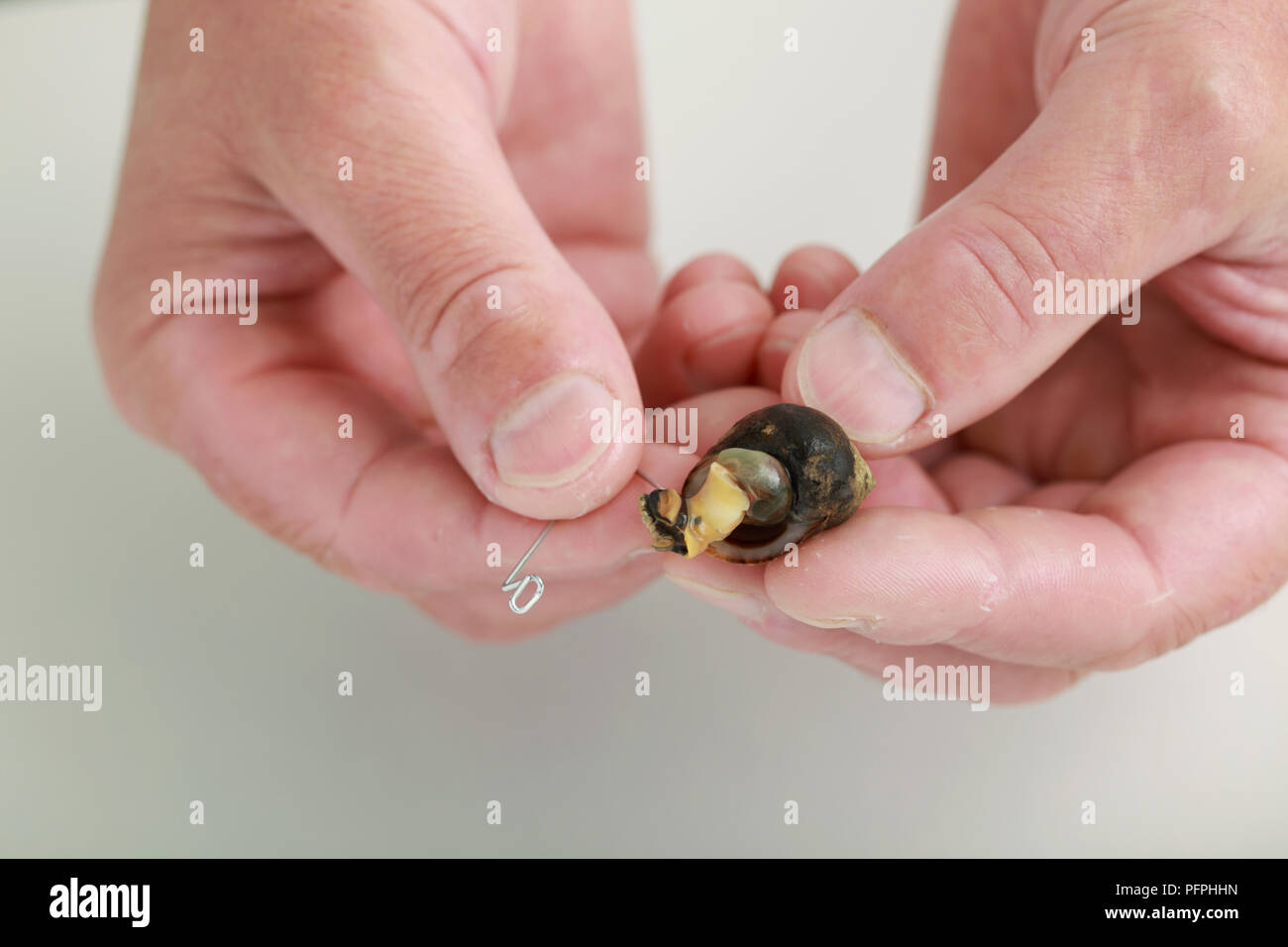 Shell using hi-res stock photography and images - Alamy