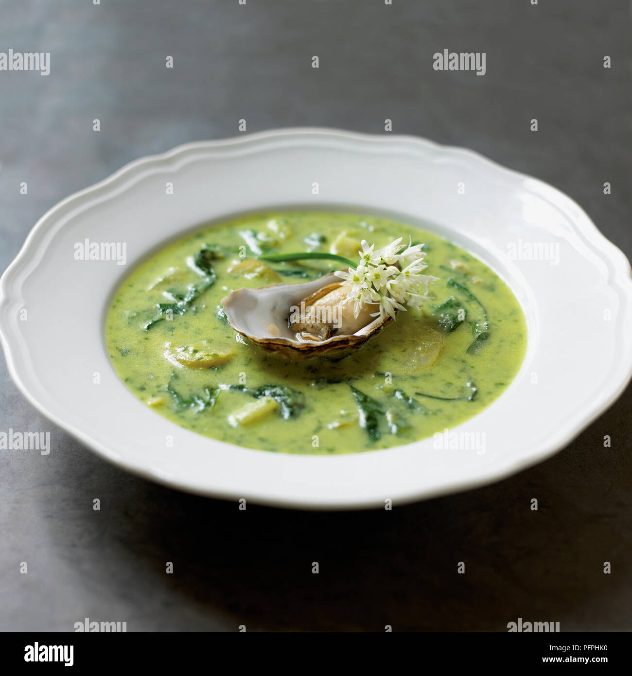 Onion, celery, celeriac, potato, and turnip soup served in bowl with fresh oyster in centre with Allium cepa flower, close-up Stock Photo