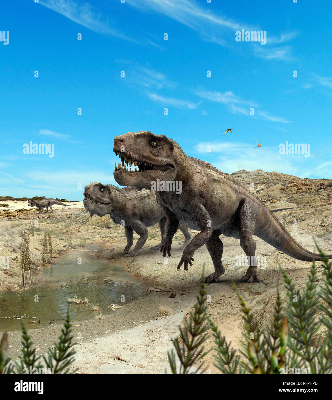 Postosuchus, Triassic era archosaurs in prehistoric landscape Stock Photo