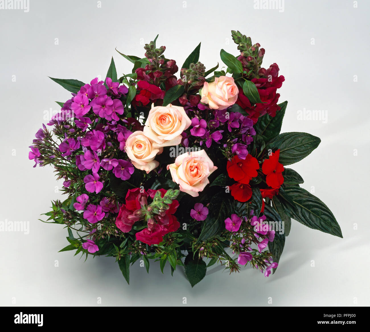 Bouquet made with Dianthus sp. (Sweet William), Rosa sp. (Rose), Antirrhinum sp. (Snapdragon), Impatiens sp. (Busy Lizzie) Stock Photo
