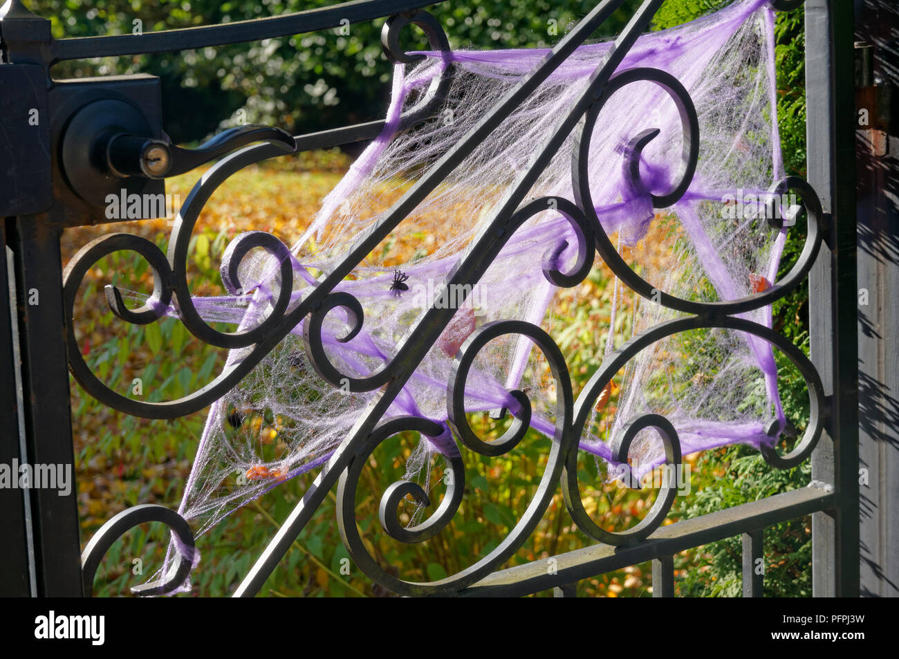 purple spider web decoration