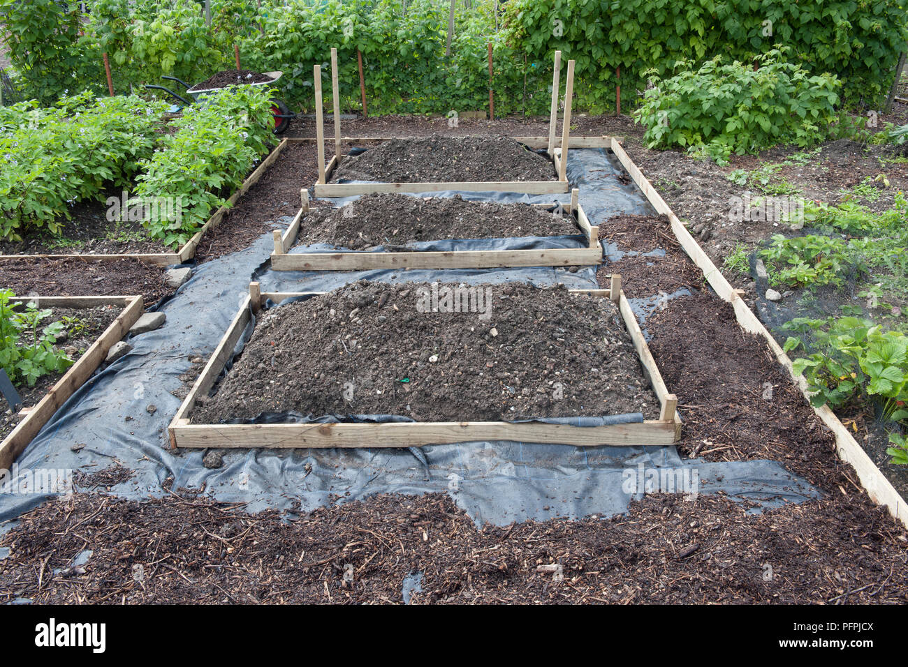 Raised beds surrounded by unfinished paths, covered with membrane and