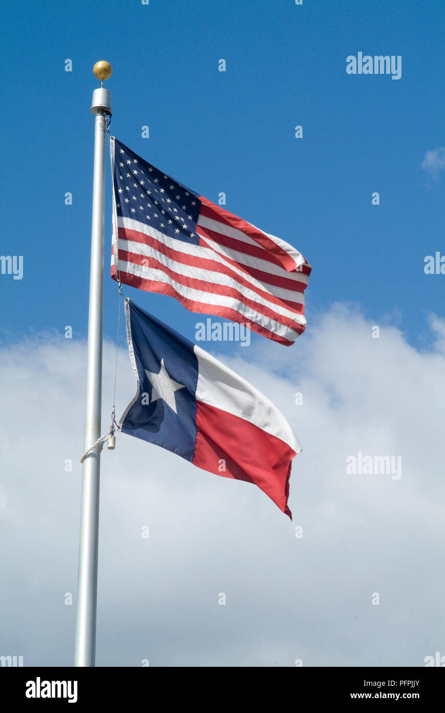 USA, American flag and Texan flags flying from flag pole Stock Photo ...