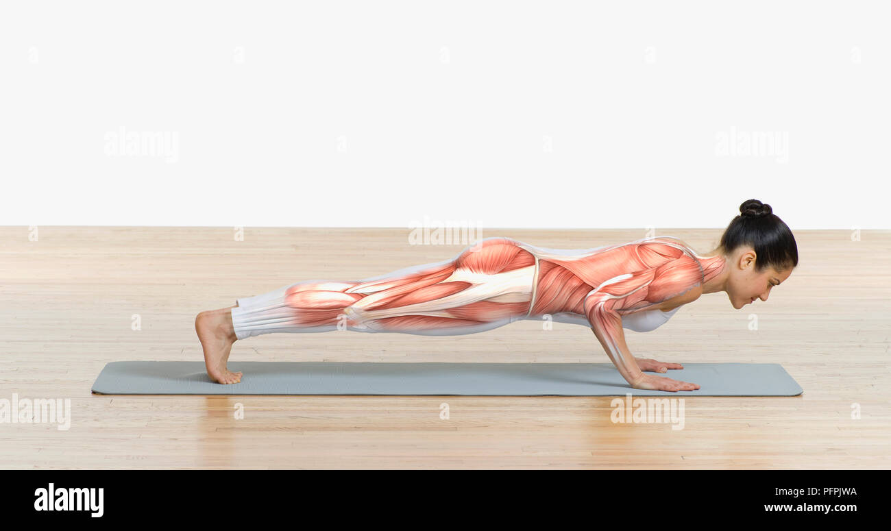 Muscular structure superimposed on body of woman doing push-ups on exercise mat, side view Stock Photo