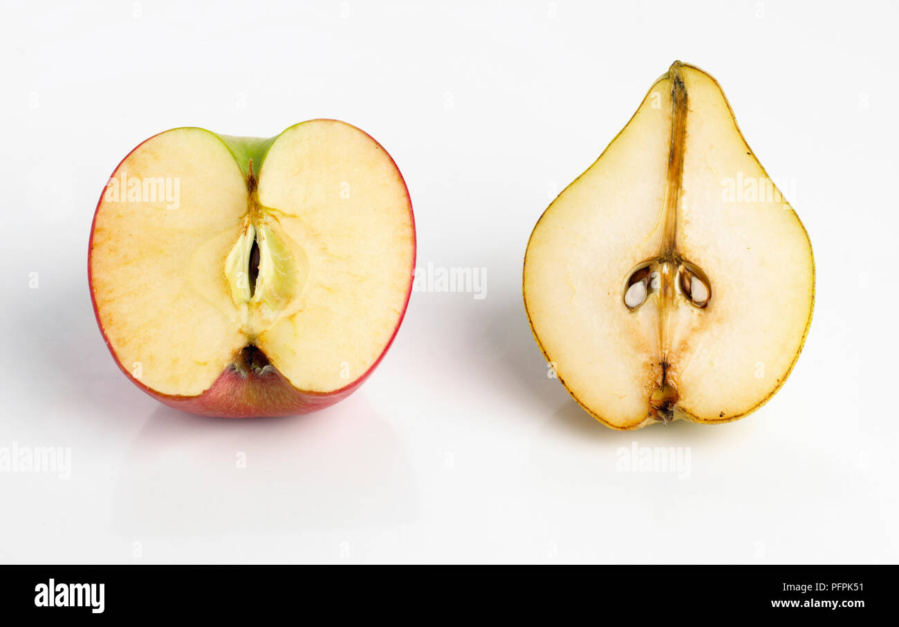 Cross-section view of sliced apple and pear, browning Stock Photo