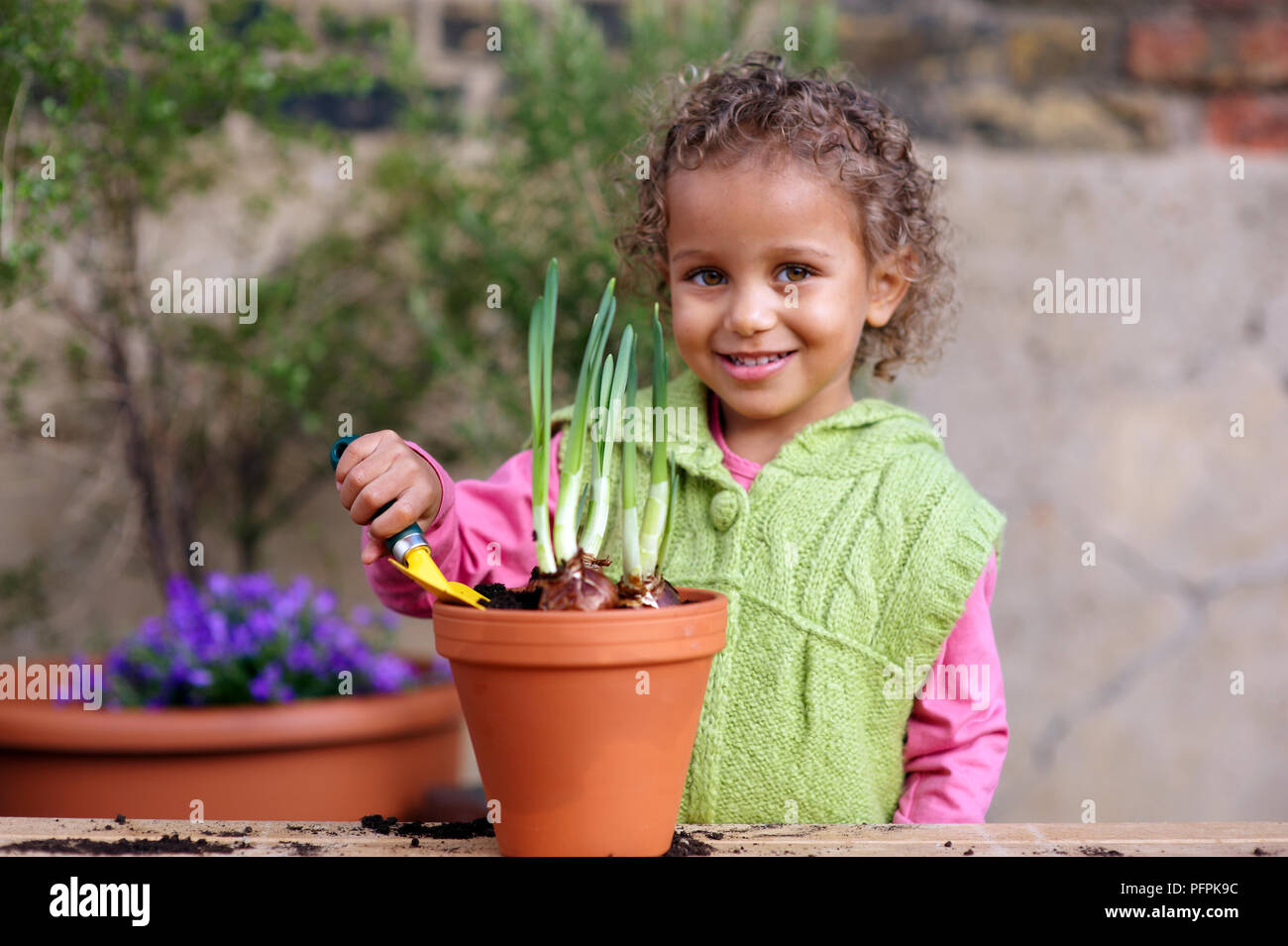 Girl (3.5 years) holding trowel next to flowerpot containing daffodil bulbs Stock Photo