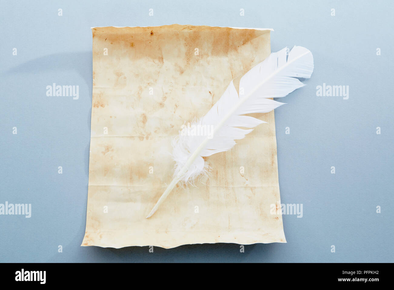 Aged paper and feather quill Stock Photo