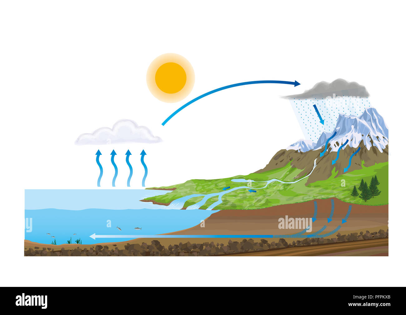 Water cycle Stock Photo