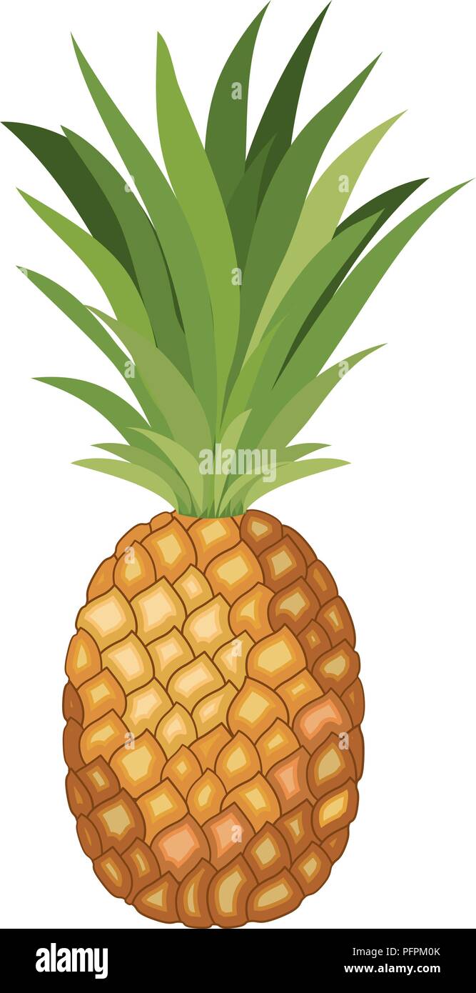 pineapple fresh fruit icon Stock Vector Image & Art - Alamy