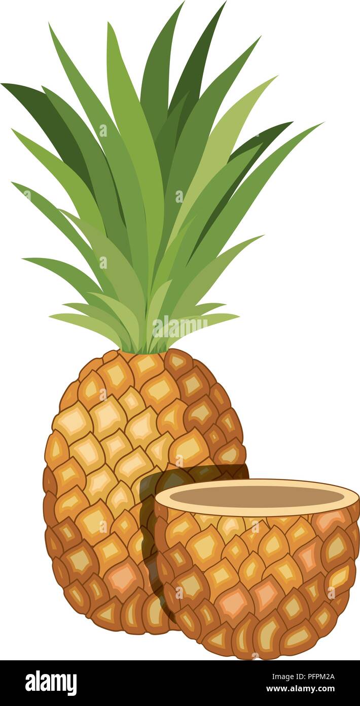 pineapple fresh fruit icon Stock Vector Image & Art - Alamy