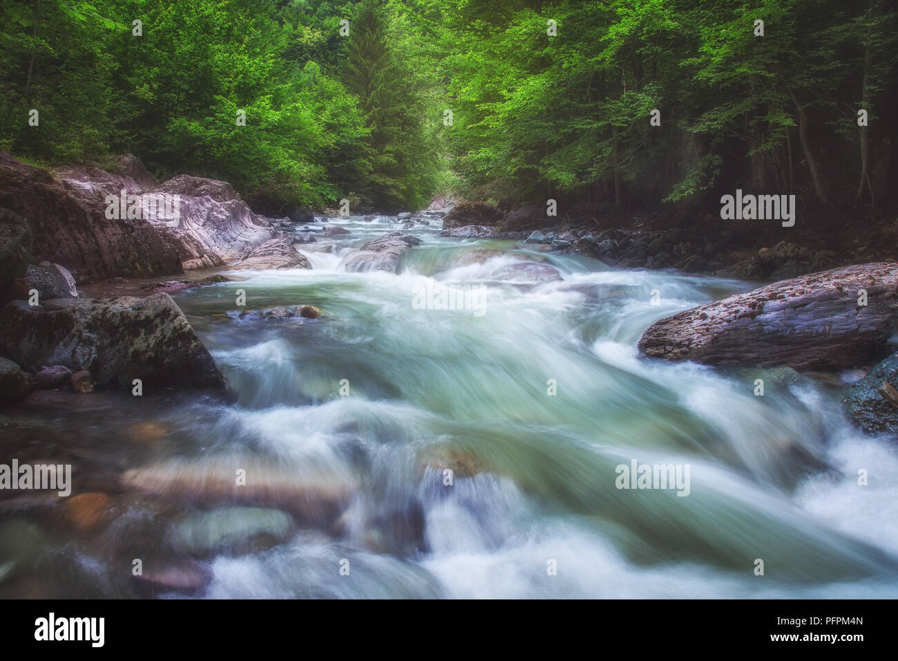 Beautiful Tisita river flowing through emerald forest in the