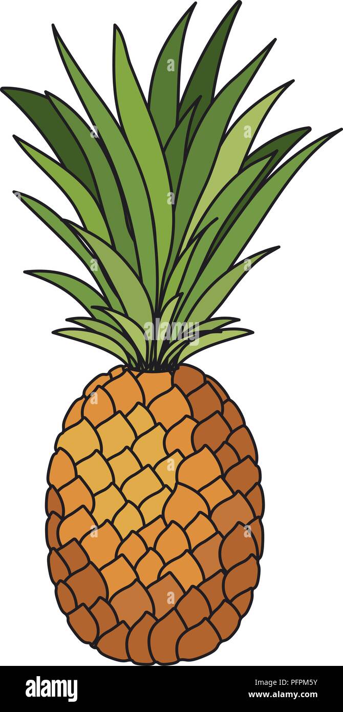 pineapple fresh fruit icon Stock Vector Image & Art - Alamy