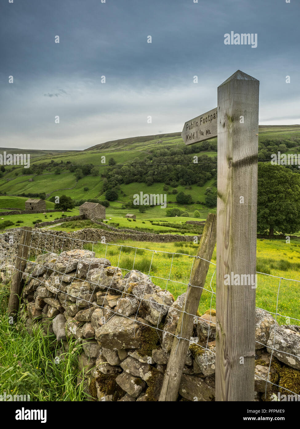 Footpath to Keld in Swaledale, Yorkshire Dales National Park Its upper parts are particularly striking because of its large old limestone field barns  Stock Photo