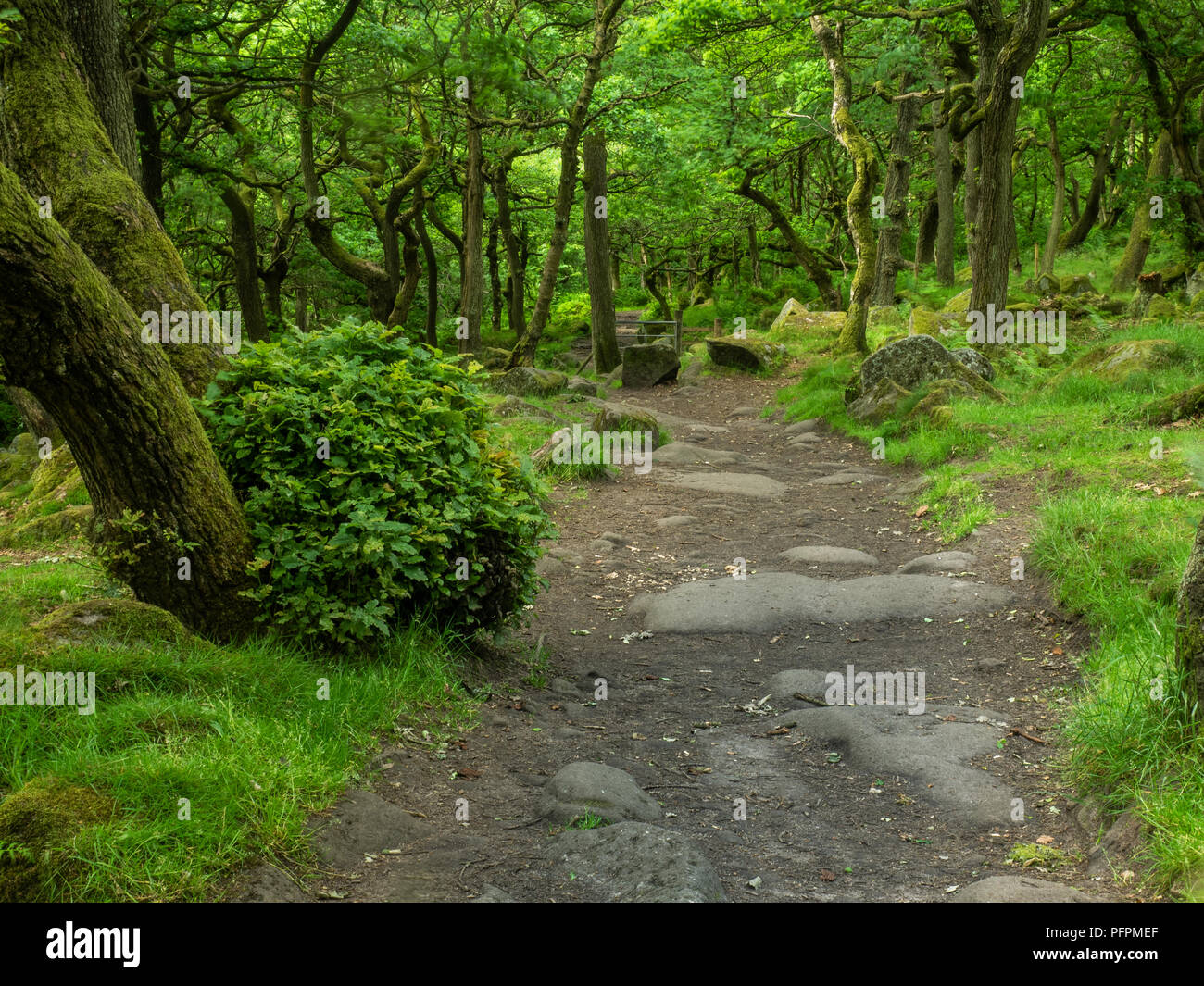 Woodland gate and fence hi-res stock photography and images - Alamy
