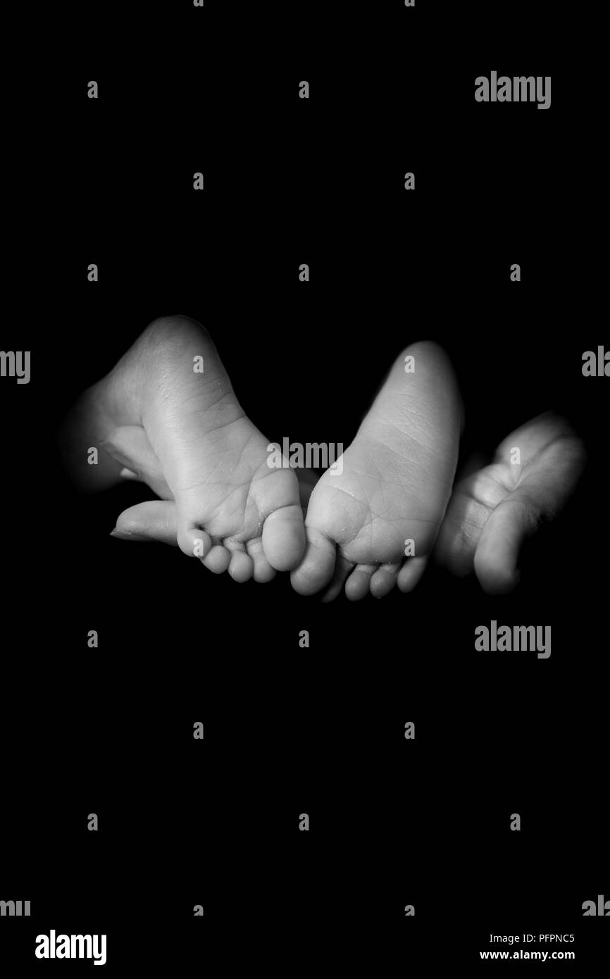 Newborn Baby Feet Supported by Mothers Hand on Black Background Stock Photo