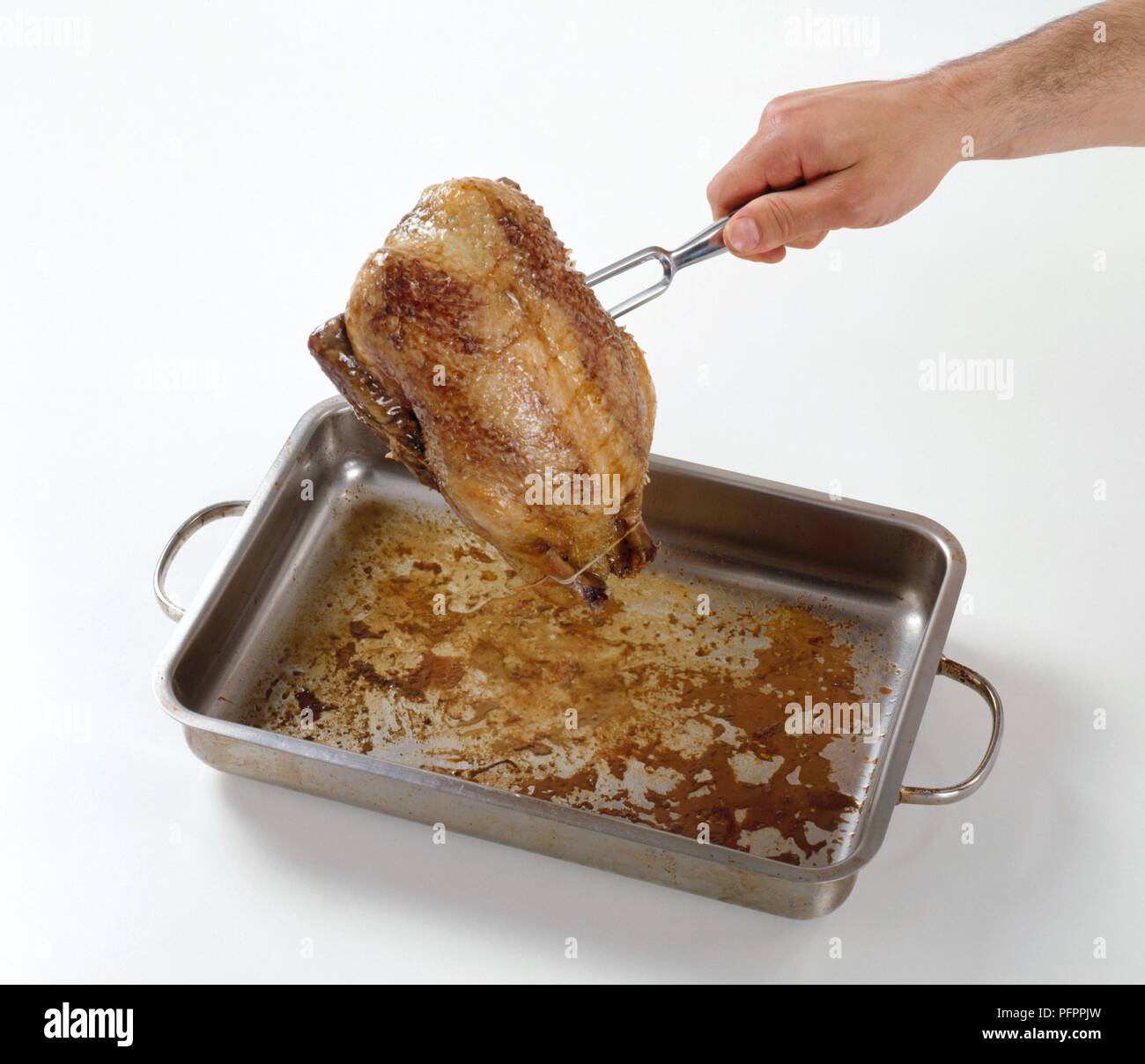Lifting roast duck out of roasting pan with fork, closeup Stock Photo
