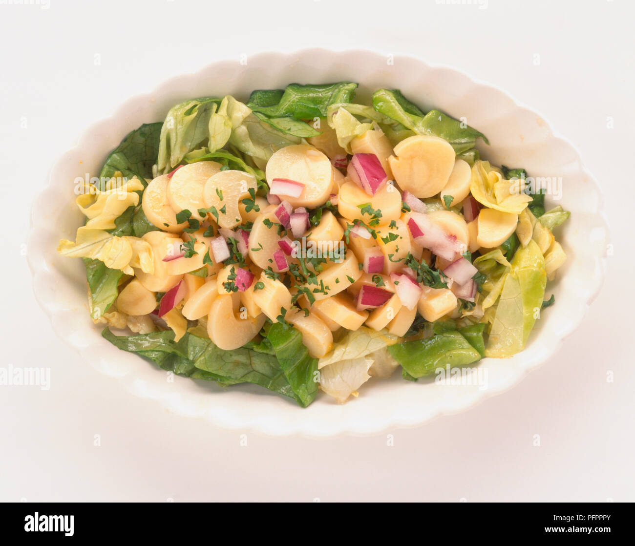 Heart of palm, lettuce and red onion salad, view from above Stock Photo